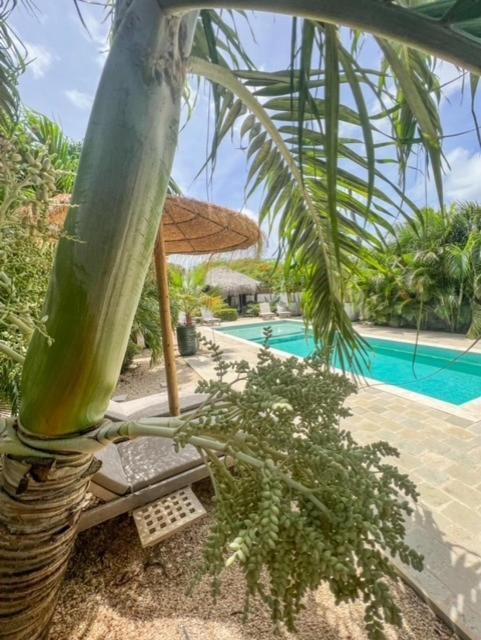 Puur Bonaire Boetiekhotel Belnem Εξωτερικό φωτογραφία
